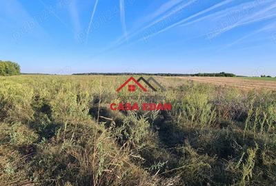 Casă cu Teren 5000 Mp în Urleta