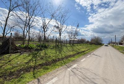 Teren Construcții intravilan de 1000 mp, în Mihai Viteazu - 5