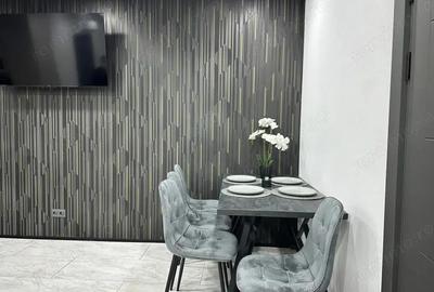 Garsoniera de inchiriat in zona Harmanului Garsoniera de inchiriat in zona Harmanului - 3