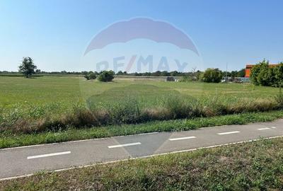 Teren Construcții intravilan de 20561 mp, în Vest - 5