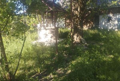 Casă cu 2 camere în Buciumi - 1
