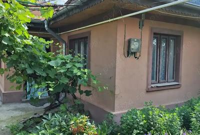 Casa curte paianta - 2
