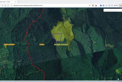 Teren agricol extravilan de 270000 mp, în Bertea - 8