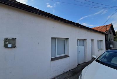 Casa Parter, Calea Campulung, DN, Slava Zaris - 4