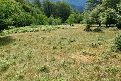 Casă cu 2 camere în Central - 1