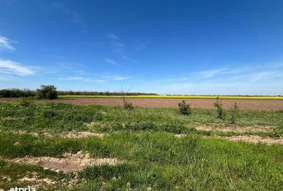 Spațiu comercial, în Coșoveni