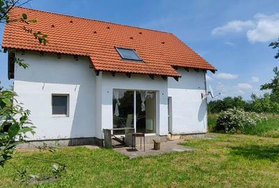 Casă cu 5 camere în Santăul Mare - 4