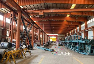 Spatiu industrial/ Hala de productie 3500 mp - Pod rulant - 2