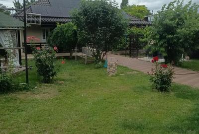 Casă cu Teren 1000 Mp în Vetrișoaia - 8