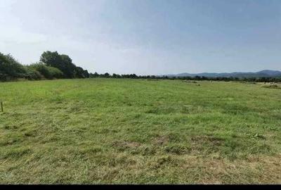 Spațiu comercial, în Central - 2