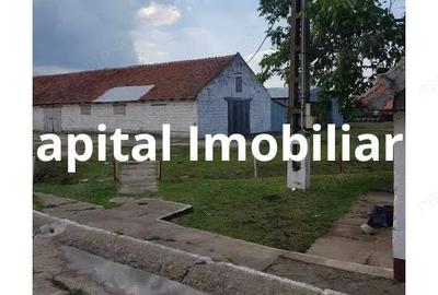 Casă cu 3 camere cu Teren 24281 Mp în Ciortea - 10