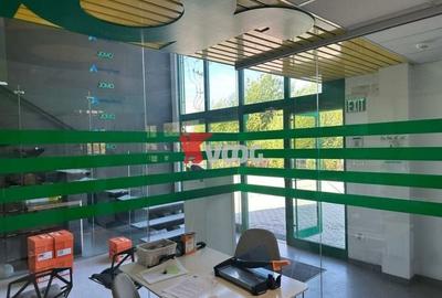 Proprietate Industriala 7000 mp hala in Calea Sagului Timisoara - 6