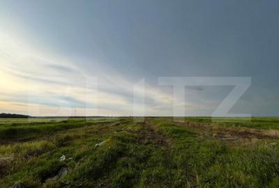 Teren par?ial intravilan 23.500 mp, apa, curent ?i suprav - 3