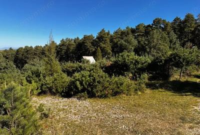 0% Comision- Teren cu constructie, langa padure-600 mp, Purcareni - 1