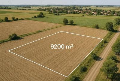 Teren de 9200 mp, în Satu Mare - 1