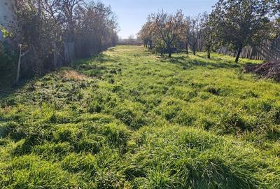 Spațiu comercial, în Căteasca - 3