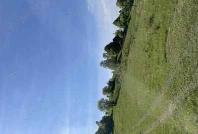 Vand teren extravilan - 1