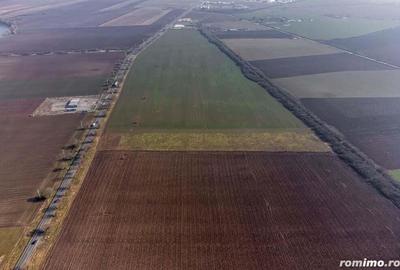 Teren cu PUZ , la sosea in zona Industriala Sud Arad - 5