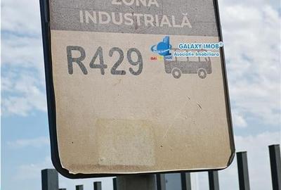 Teren Industrial 3 HECTARE Str Rudeni cu deschidere 50 ML - 7