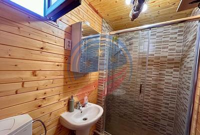 Casă cu 4 camere cu Teren 1640 Mp în Dubova - 28