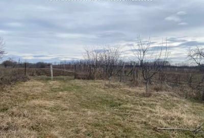 Casă cu 3 camere în Central - 3