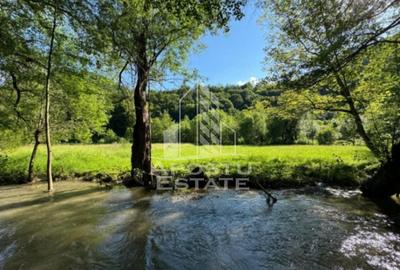 Teren Construcții extravilan de 1300 mp, în Groș - 3