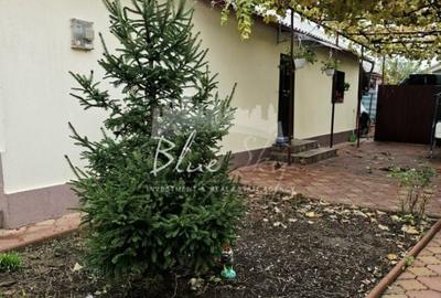 Casa 3 camere situata in Valul lui Traian - 19