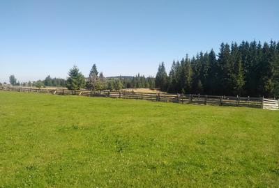 Teren Construcții intravilan de 3538 mp, în Măguri - 2