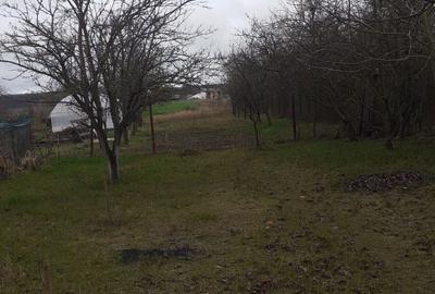 Casa de vanzare Balotesti - 6