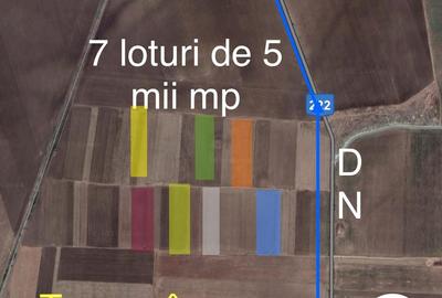 Teren agricol extravilan de 35000 mp, în Mihail Kogălniceanu