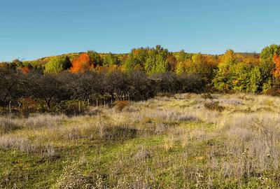 Teren 500 mp intravilan Campina – premium, pozitie panoramica, deschidere 19m - 6