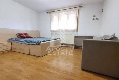 Apartament cu 4 camere semidecomandat, mobilat în Buziașului - 12