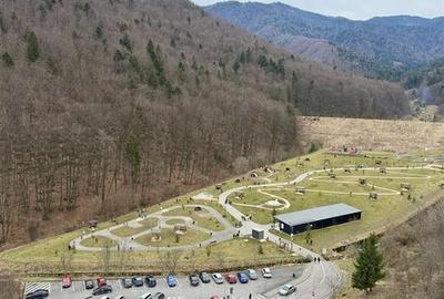 Apartament cu 3 camere decomandat, mobilat în Răcădău - 12