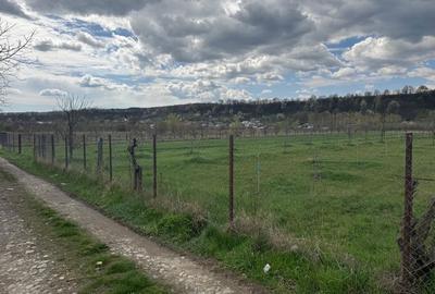 Spațiu comercial, în Dragodănești - 5