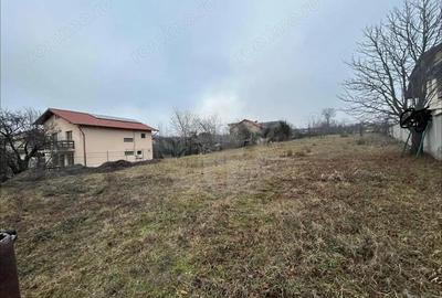 Teren de 3009 mp, în Păulești - 2