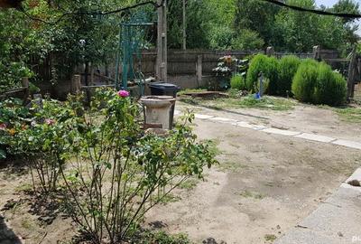 Casă în Apele Vii - 6