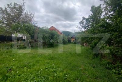 Casa de vanzare in centru, 16,5 ari teren, Nasaud - 1