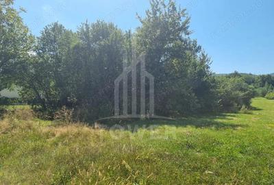 EXCLUSIVITATE! Teren la ?oseaua principala | Tocile - 1