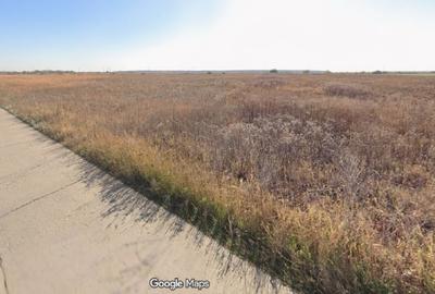 Teren agricol intravilan de 5000 mp, în Snagov - 4