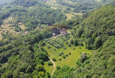 CASTEL de Vanzare in Berchezoaia MaramuresOaza de Lini... - 8