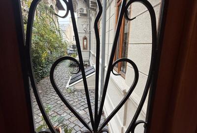 Vila deosebita zona Piata victoriei pentru office - 4