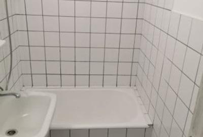 Apartament 3 camere complet renovat - Grivitei, str. Mircea cel Batran - 5