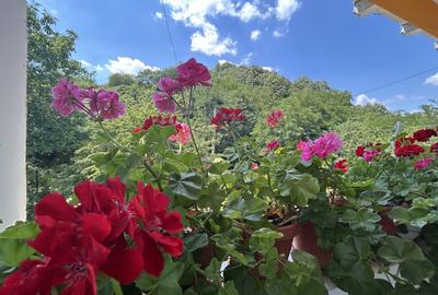 VAND O VILA IN PADUREA DIN FILIPESTI - 14