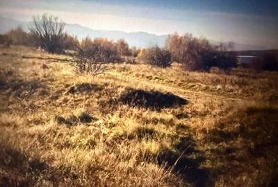 Vand teren generos (3,8 ha), in Salicea, pentru constructie case tip duplex - 2