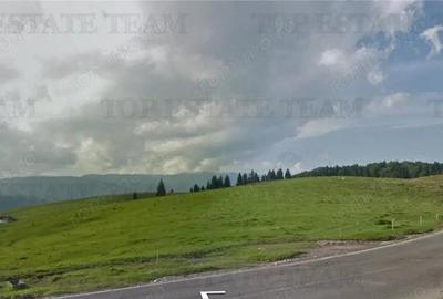 Teren de 304 mp, în Dâmbovicioara - 2