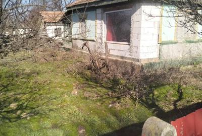 Casă cu 2 camere cu Teren 1440 Mp în Exterior Vest - 4