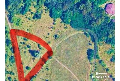 Teren intravilan cu vedere panoramică  4230mp – Mediaș - 3