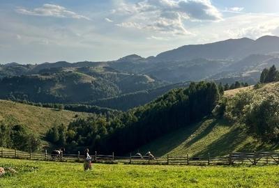 Teren intravilan de 22632 mp, în Moieciu - 1