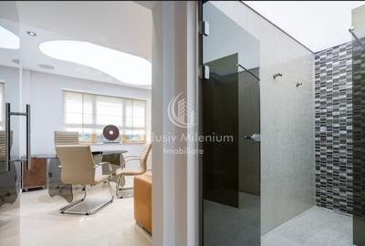 Vila/Casa Clinica /Salon de infrumusetare Lacul Tei  / Parcul Circului birouri - 17