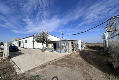 De vanzare-afacere la cheie - 4